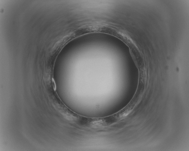 X0000070410505200606231831