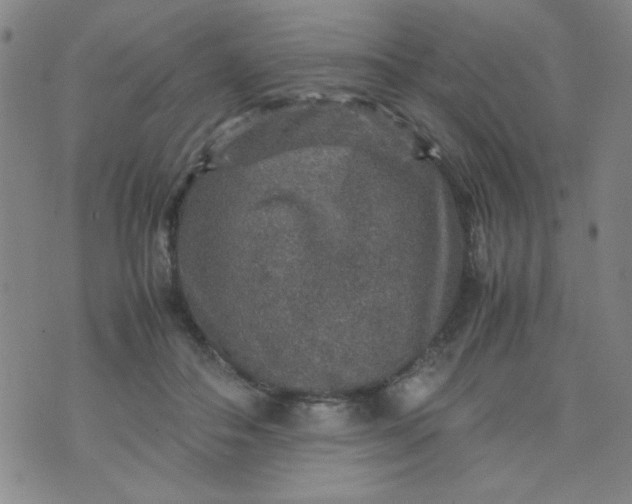 X0000070410506200606231831