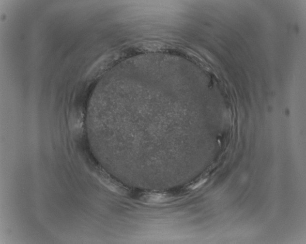 X0000070410507200606231831