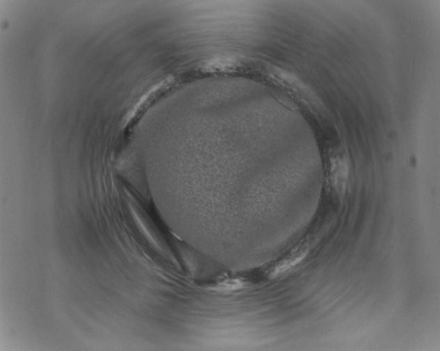 X0000070410508200606231831