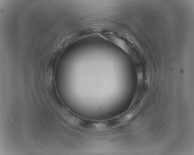 X0000070410509200606231831