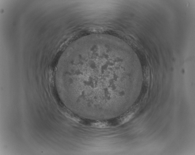 X0000070410511200606231831