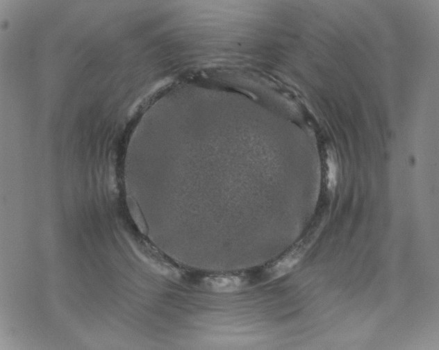 X0000070410512200606231831