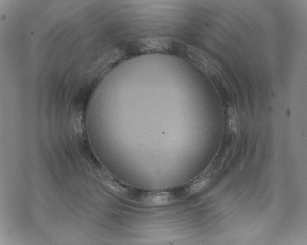 X0000070410514200606231831