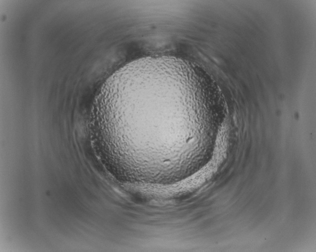 X0000070410515200606231831