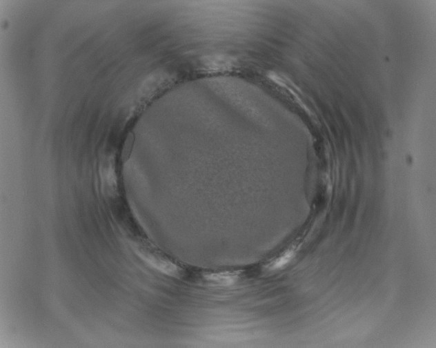 X0000070410516200606231831