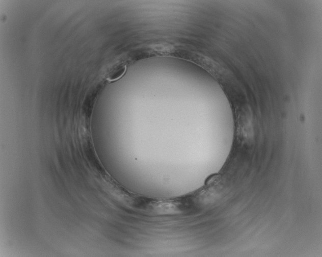 X0000070410518200606231831