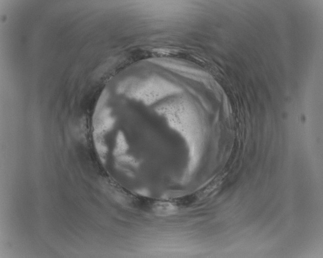 X0000070410519200606231831