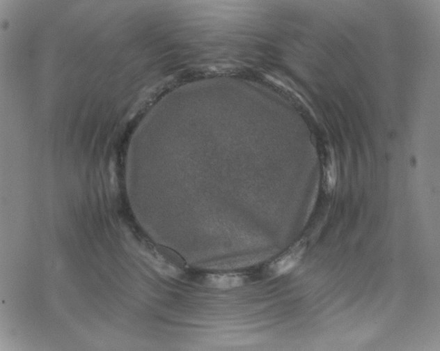 X0000070410520200606231831