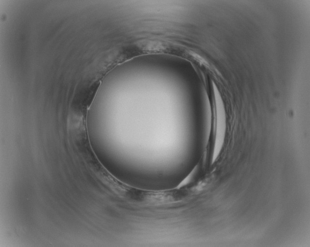 X0000070410521200606231831