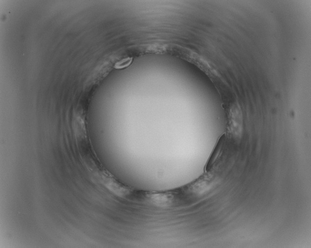 X0000070410522200606231831