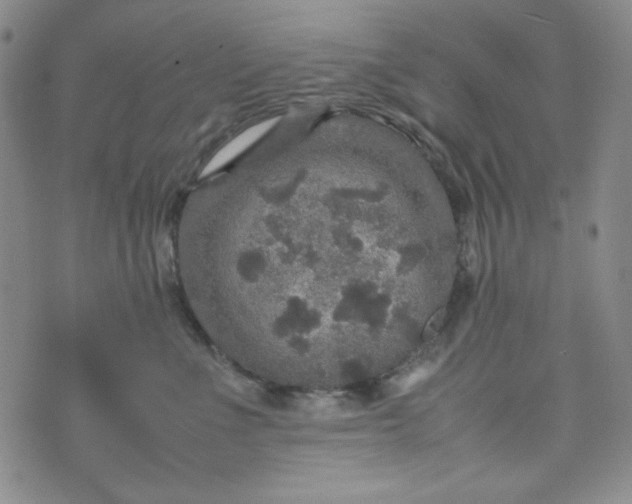 X0000070410523200606231831