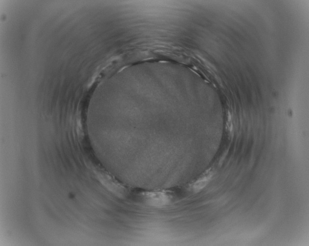 X0000070410524200606231831