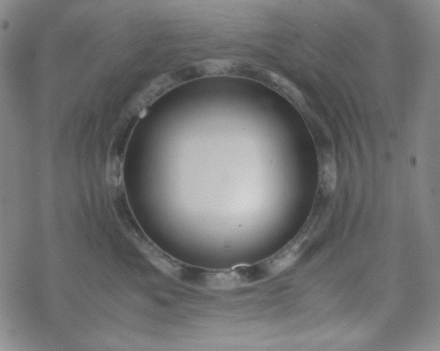 X0000070410525200606231831