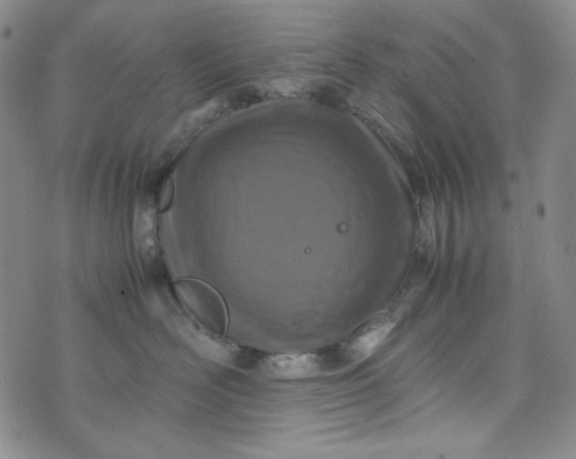 X0000070410526200606231831