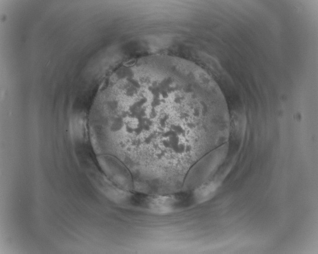 X0000070410527200606231831