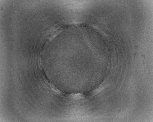 X0000070410528200606231831