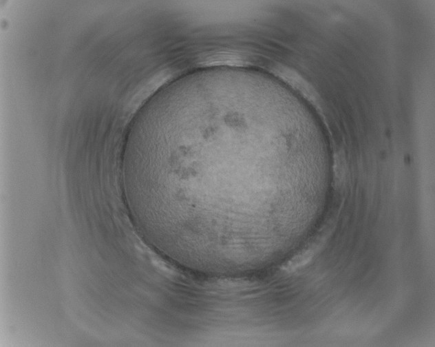 X0000070410529200606231830