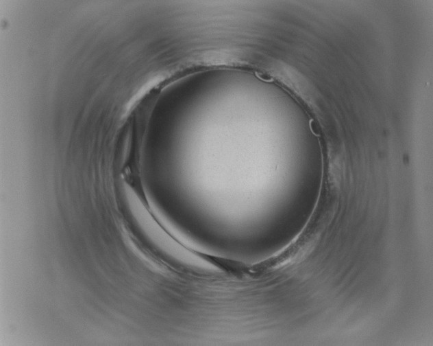 X0000070410530200606231830