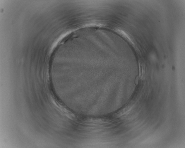 X0000070410531200606231830