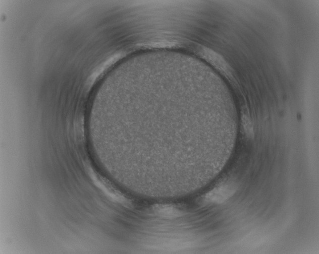 X0000070410534200606231830