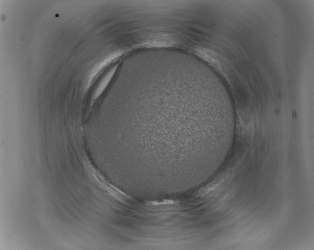 X0000070410535200606231830