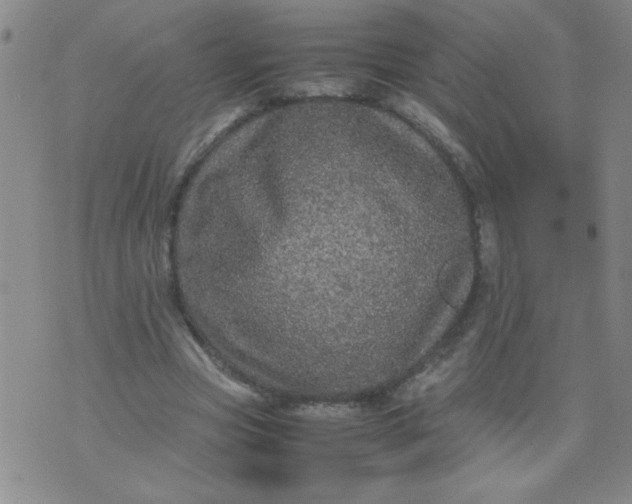 X0000070410537200606231830