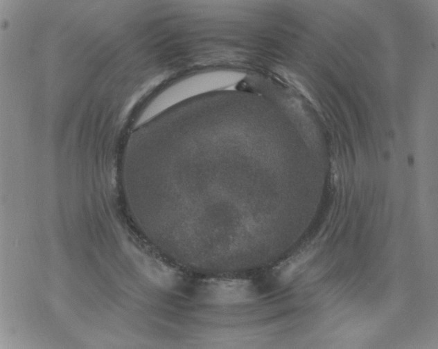 X0000070410539200606231830