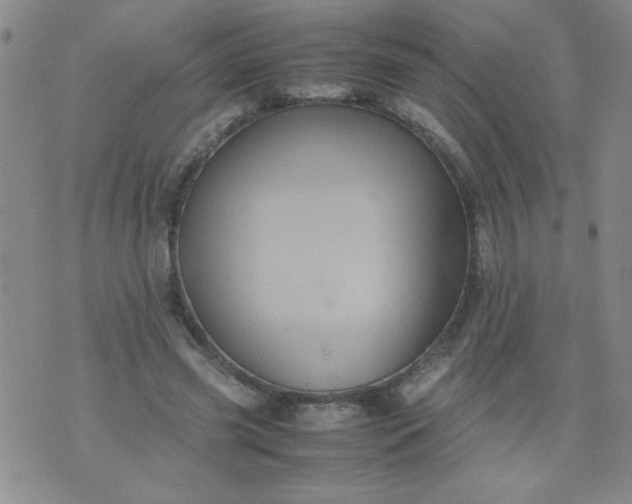 X0000070410541200606231830