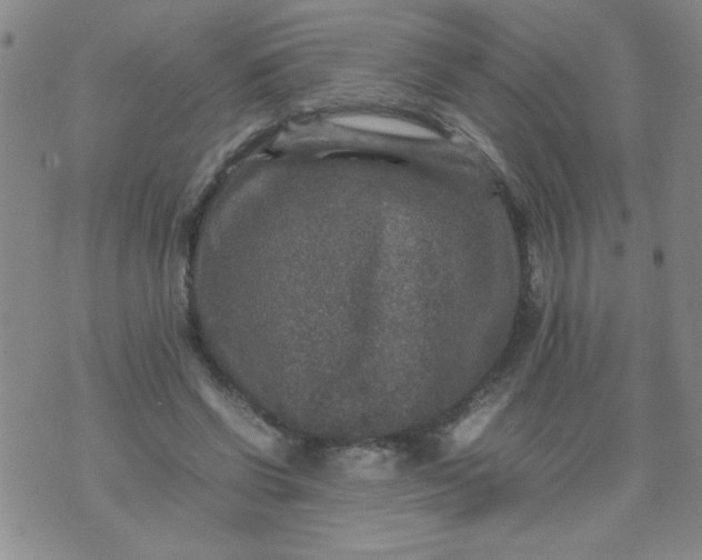 X0000070410542200606231830