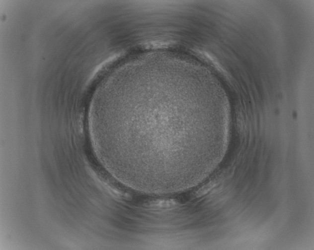 X0000070410543200606231830