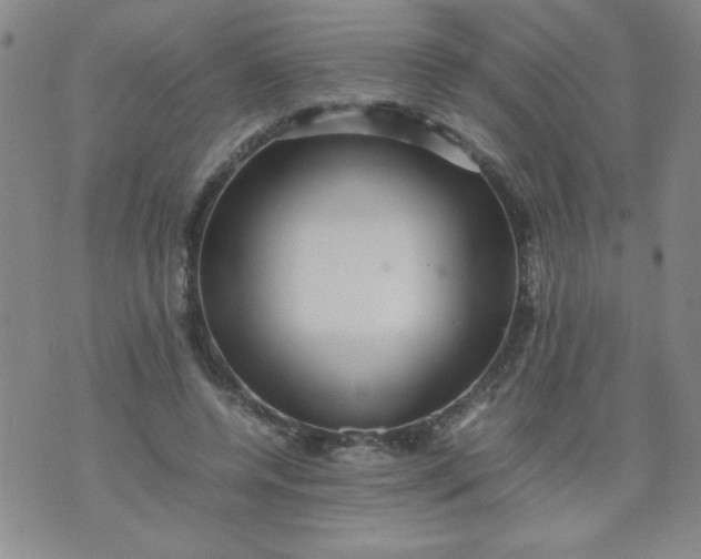 X0000070410544200606231830