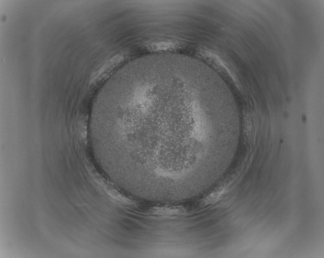 X0000070410545200606231830