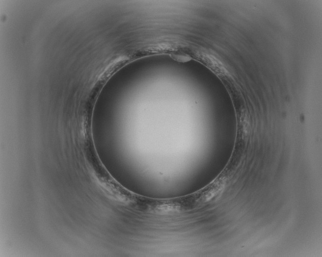 X0000070410546200606231831