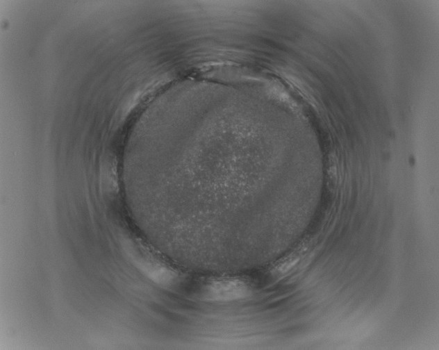 X0000070410547200606231831