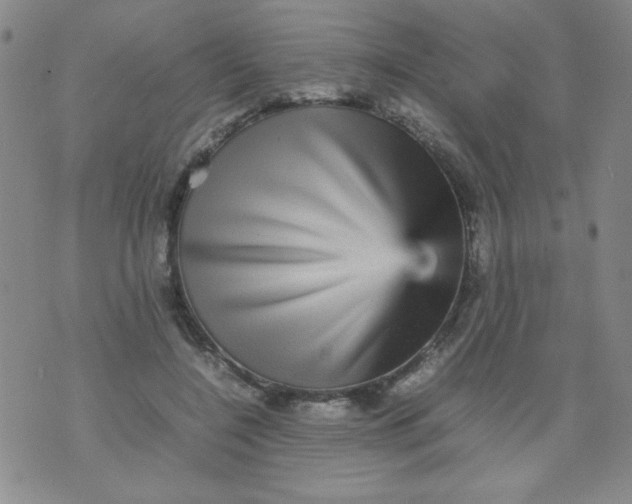 X0000070410548200606231831