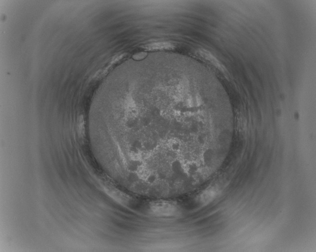 X0000070410549200606231831