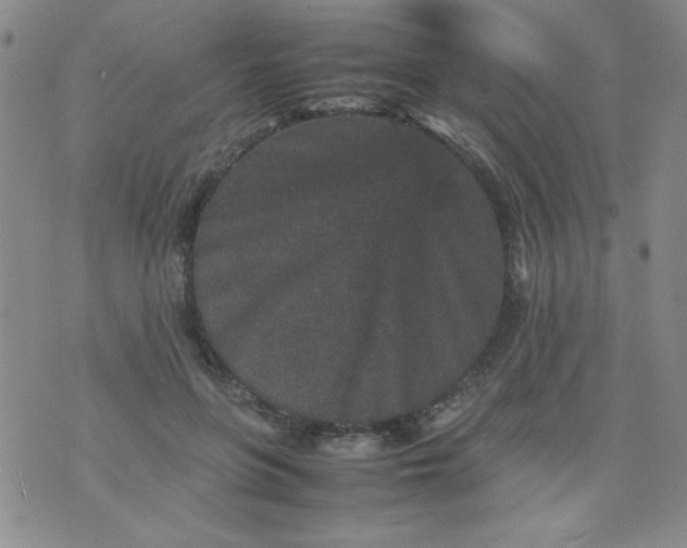 X0000070410551200606231831