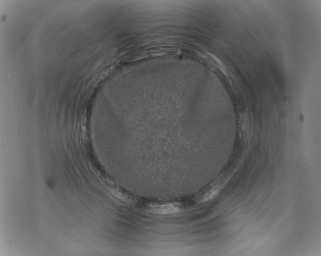 X0000070410553200606231831