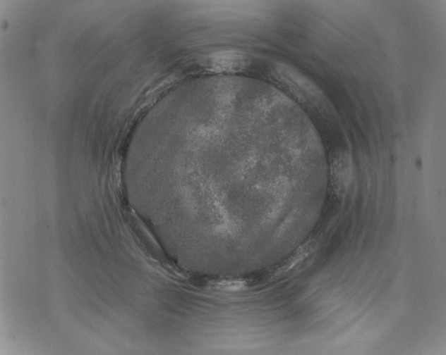 X0000070410554200606231831