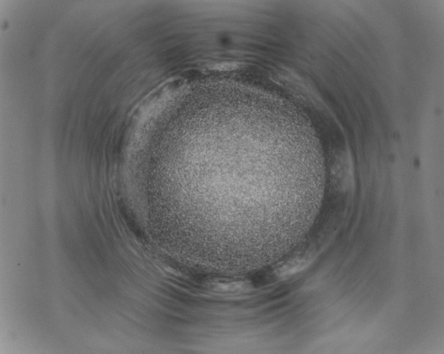 X0000070410555200606231831