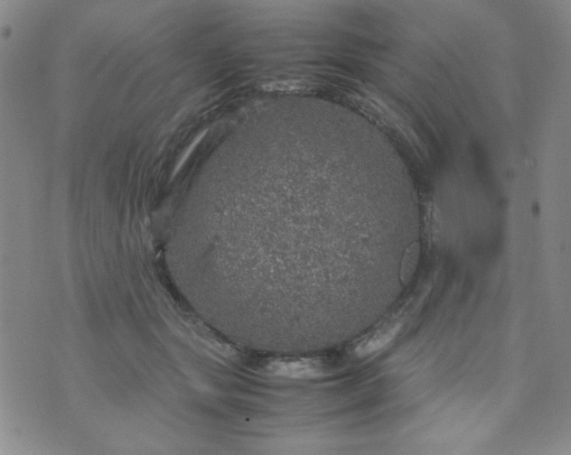 X0000070410557200606231831