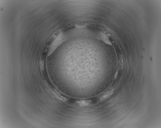 X0000070410558200606231831