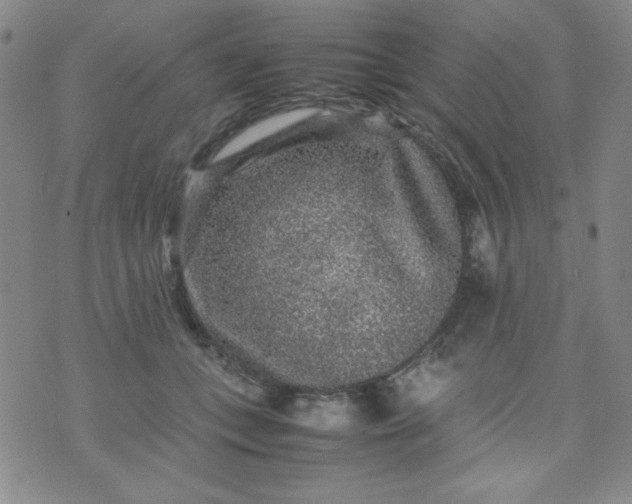 X0000070410559200606231831