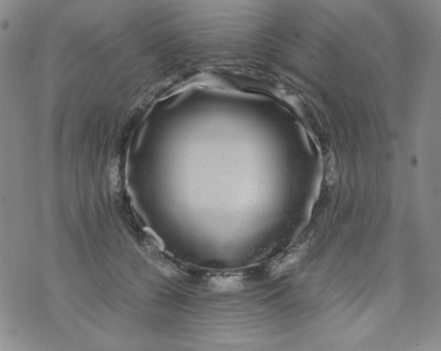 X0000070410560200606231831