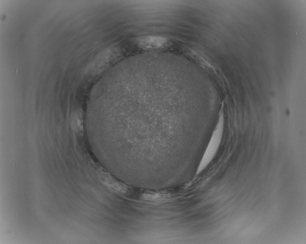 X0000070410561200606231831