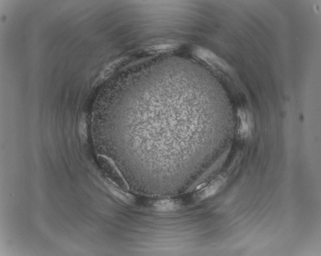 X0000070410562200606231831