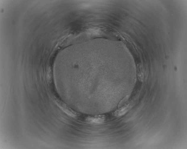 X0000070410563200606231831