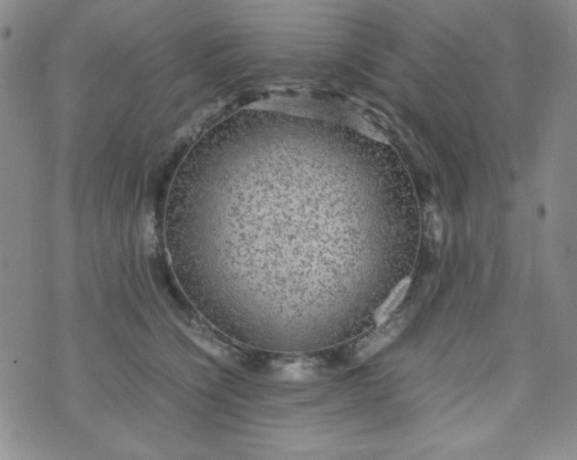 X0000070410564200606231831