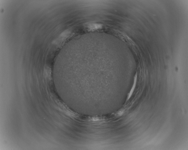 X0000070410565200606231831